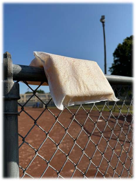 Advanced Sponge Pillows