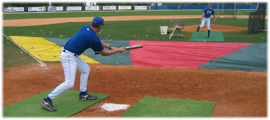 Bunt Zone® Protector-Trainer