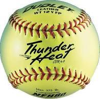 Dudley 43147 Fastpitch Softball