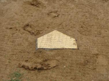 Trigon Bury All Professional Wood Filled Home Plate