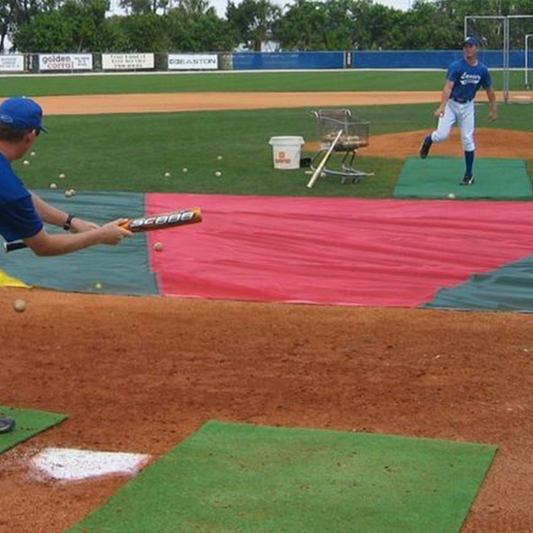 Bunt Zone® Protector-Trainer