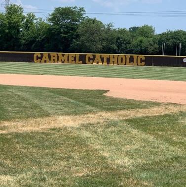Field Mural Windscreen