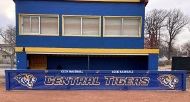 Professional Style Rail & Post Padding