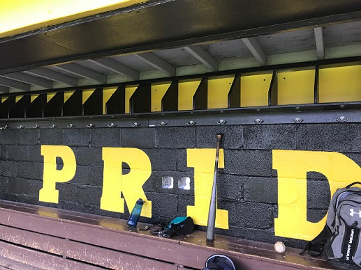 dugout player storage rack