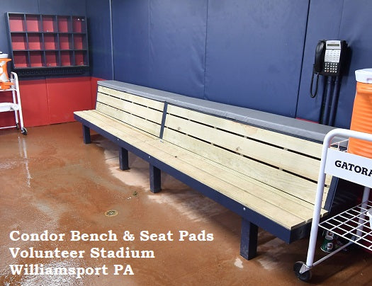 Volunteer Stadium dugout, Williamsport