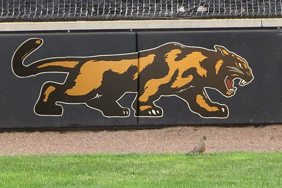 Field Wall Pad