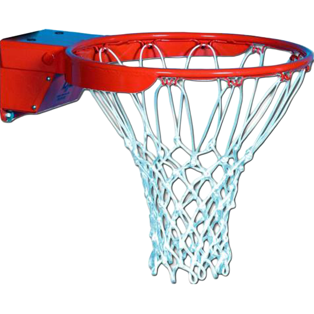 Scholastic Flex Breakaway Rim