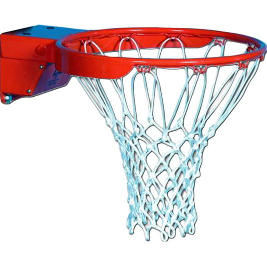 Scholastic Flex Breakaway Rim