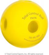 Total Control Holed Hitting Balls