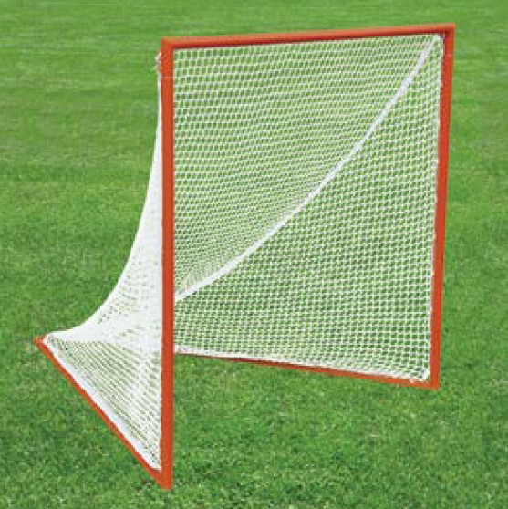 Official Lacrosse Goal PYT Sports